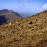 Hike to Caherconree fort