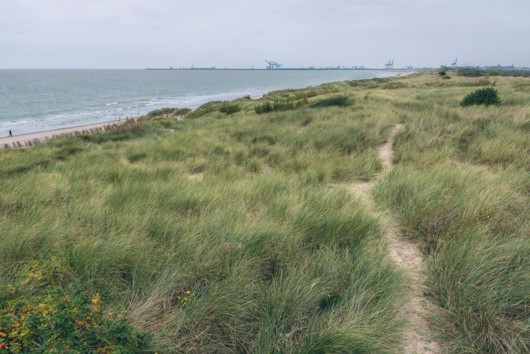 Nature reserve 'De Fonteintjes'